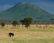 Tanzania