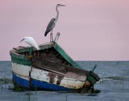 Tanzania