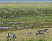 Tanzania