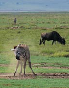 Tanzania