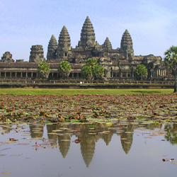 Cambodia Portfolio