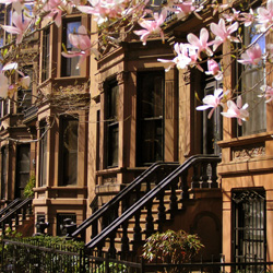 NYC Brooklyn Portfolio