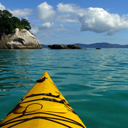 New Zealand Portfolio