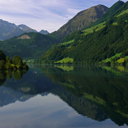 Switzerland Portfolio